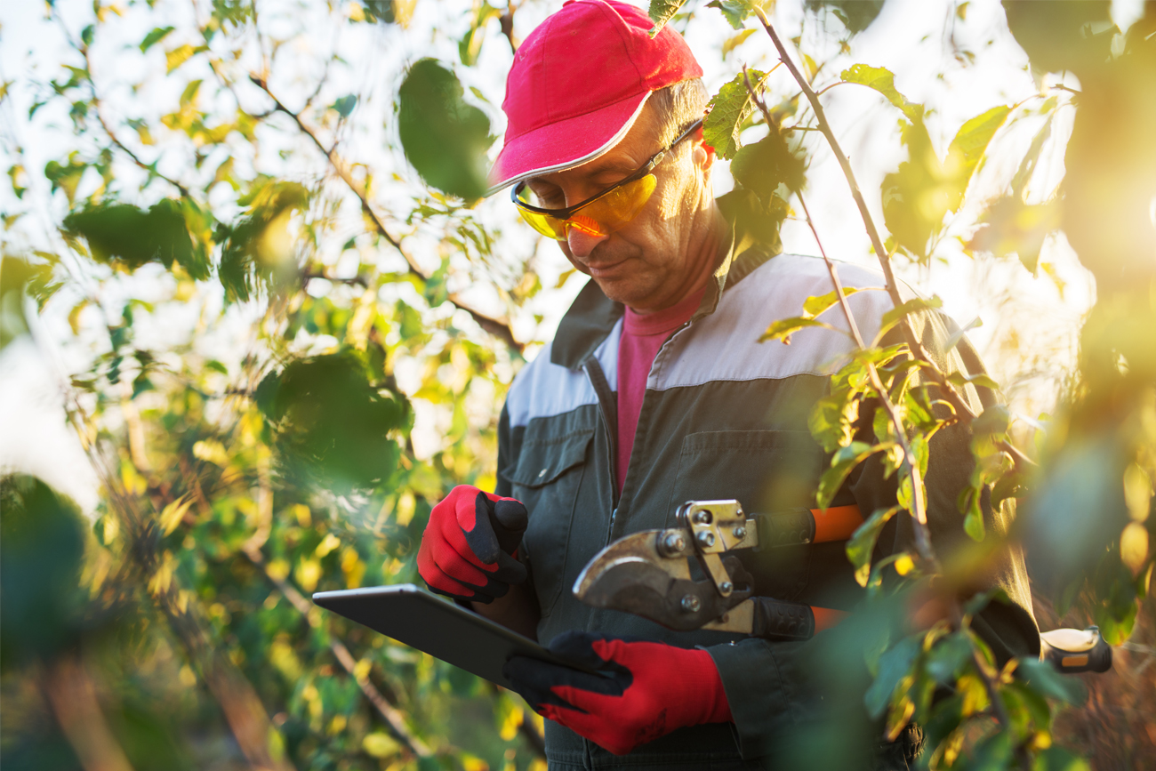 An Agricultural professional using Pronto Xi Advanced Forecasting to optimise inventory management and predict future product demand.