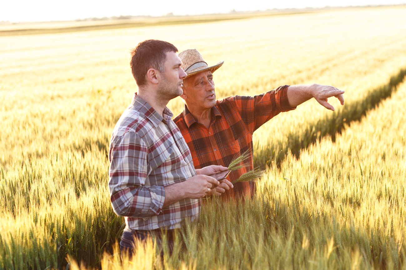 Farmers analysing data on tablet to maximise harvest productivity.